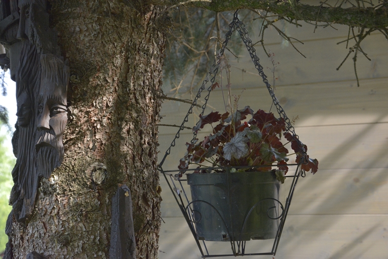 Ogród w Jugowcu to wielopokoleniowe dzieło