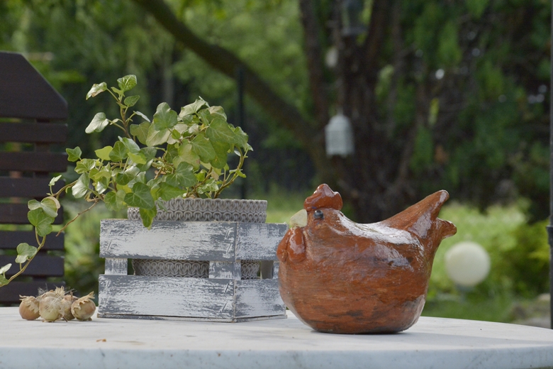 Ogród w Jugowcu to wielopokoleniowe dzieło