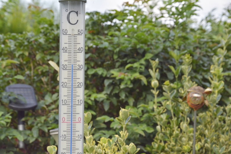 Ogród w Jugowcu to wielopokoleniowe dzieło