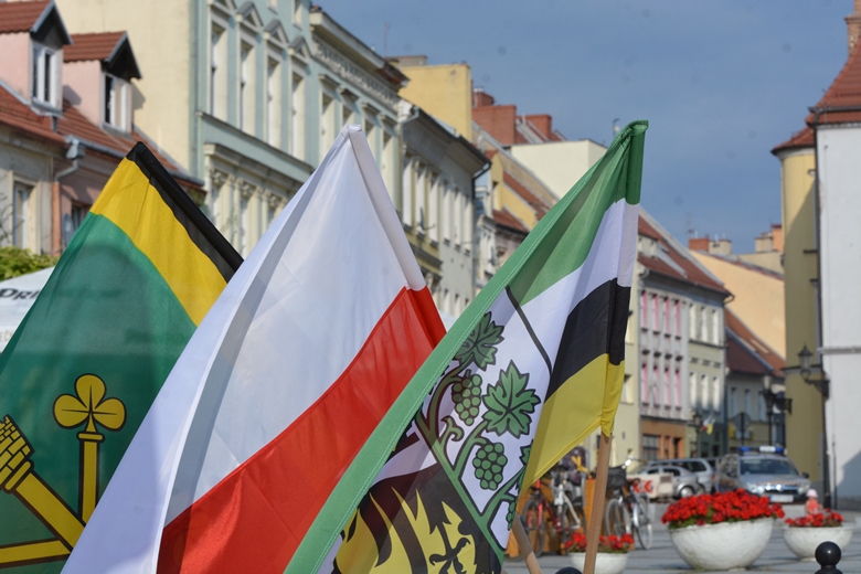 Święto Wojska Polskiego w Środzie Śląskiej 