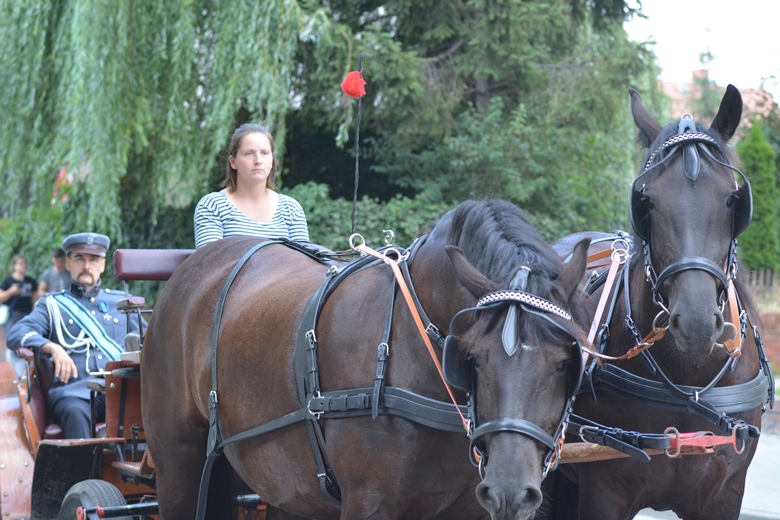Święto Wojska Polskiego w Środzie Śląskiej 