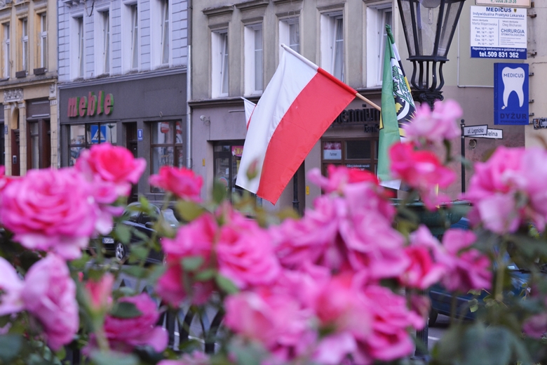 Święto Wojska Polskiego w Środzie Śląskiej 