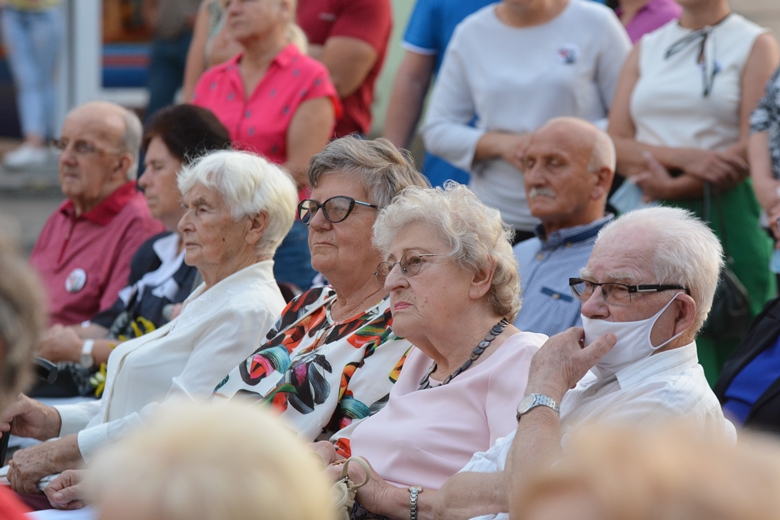 Święto Wojska Polskiego w Środzie Śląskiej 