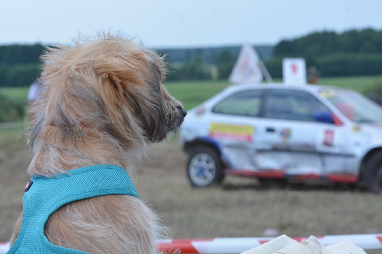 Zażynki Wraków to impreza dla całej rodziny