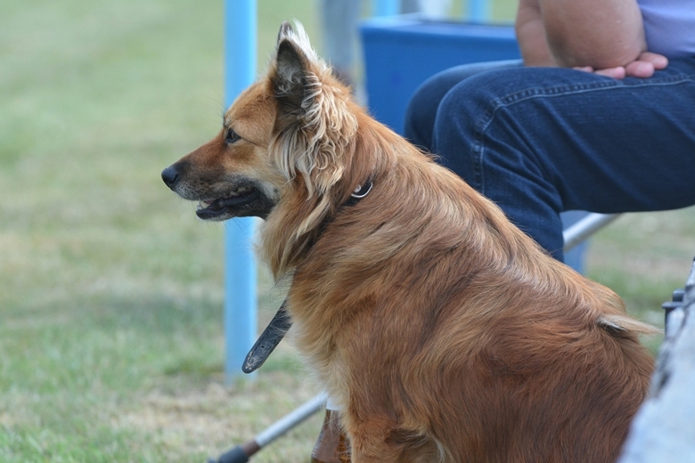 LZS Osiek vs Polonia BIelany