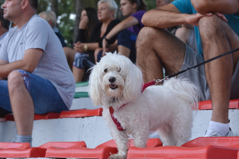 5 kolejka, 4 mecz, 1 porażka 