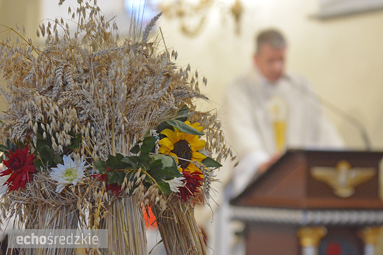 Święto plonów w Konarach