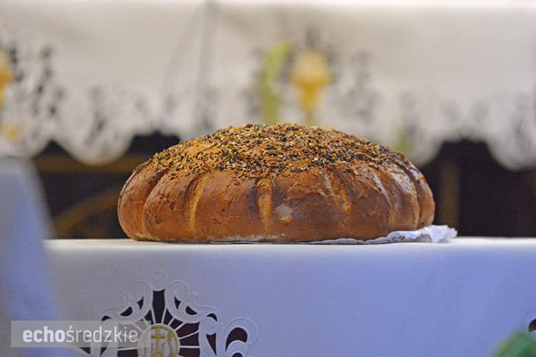 Święto plonów w Konarach