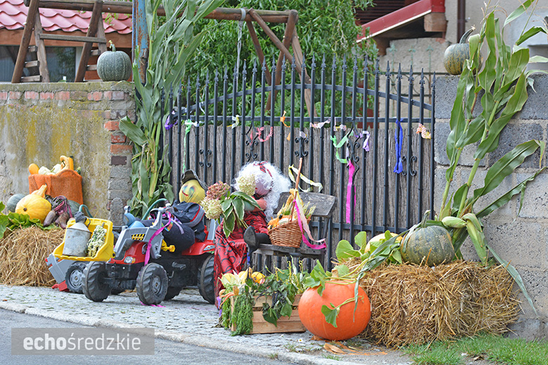 Święto plonów w Konarach