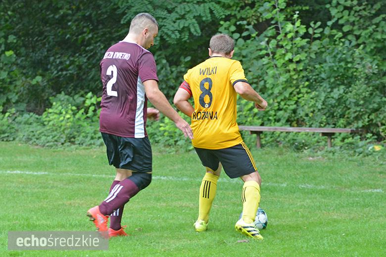 Wilki Różana – Tęcza Kwietno 3:0