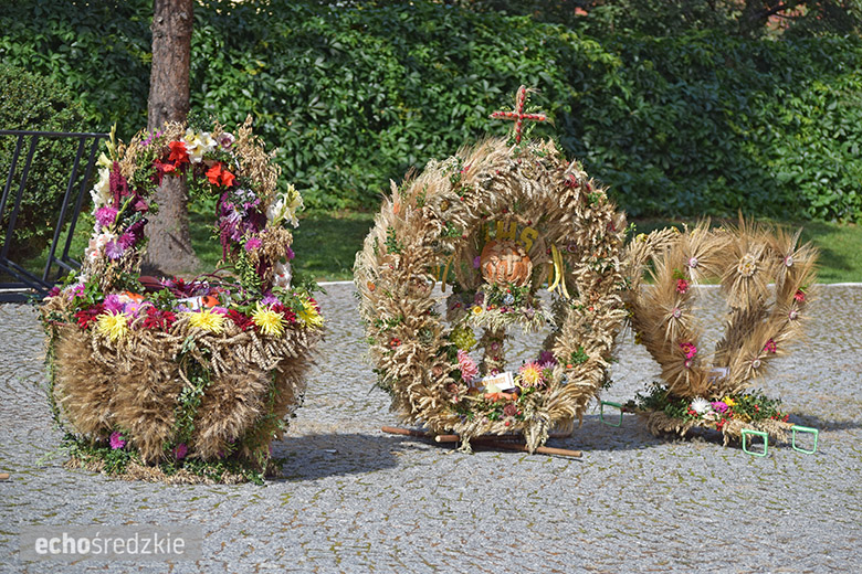 Święto plonów w Kostomłotach