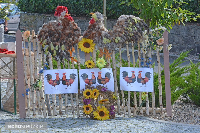 Gminne Dożynki w Udaninie