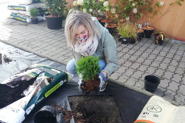 Krzewy zasadzili pracownicy Armacella i szkoły 