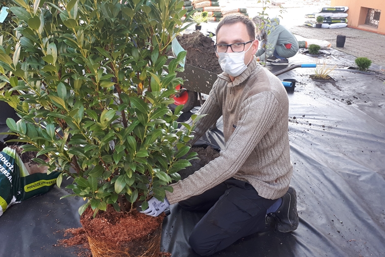 Krzewy zasadzili pracownicy Armacella i szkoły 