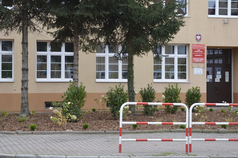 Krzewy zasadzili pracownicy Armacella i szkoły 