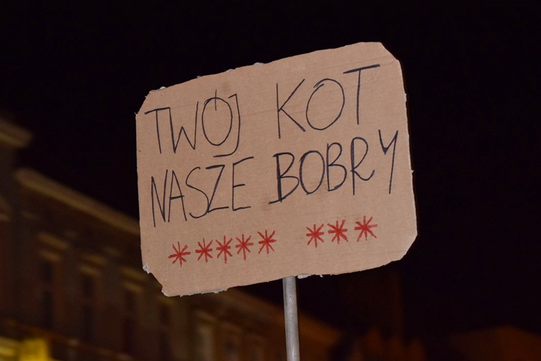 Jak zapewnija organiztorki nie była to ostatnia manifestacja