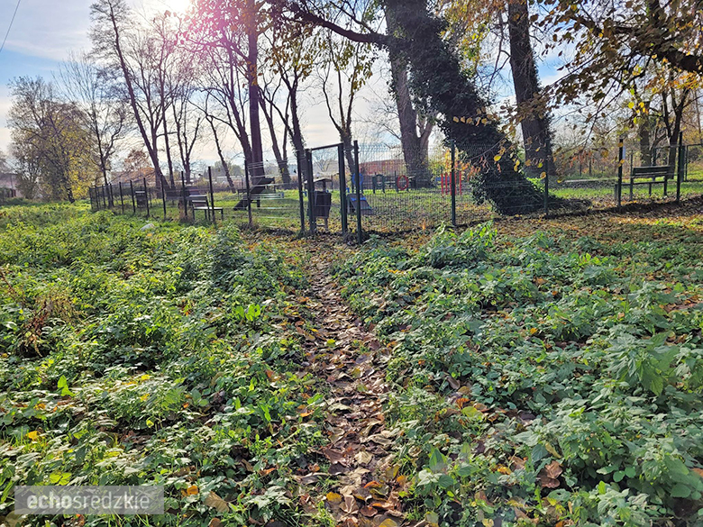 Psi Gaj w Środzie Śląskiej