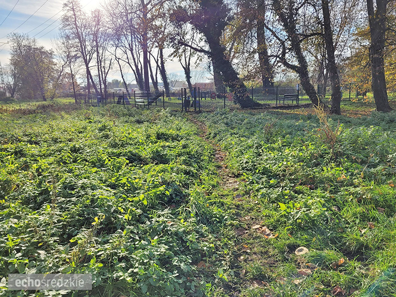 Psi Gaj w Środzie Śląskiej