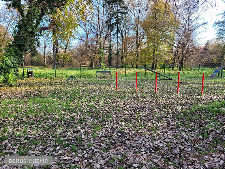 Psi Gaj w Środzie Śląskiej