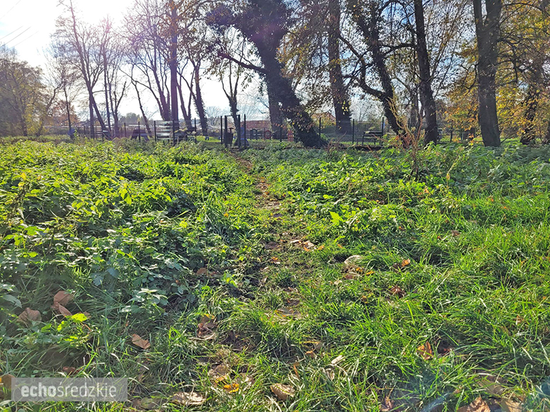 Psi Gaj w Środzie Śląskiej