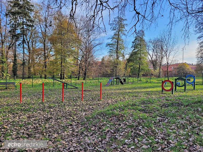 Psi Gaj w Środzie Śląskiej