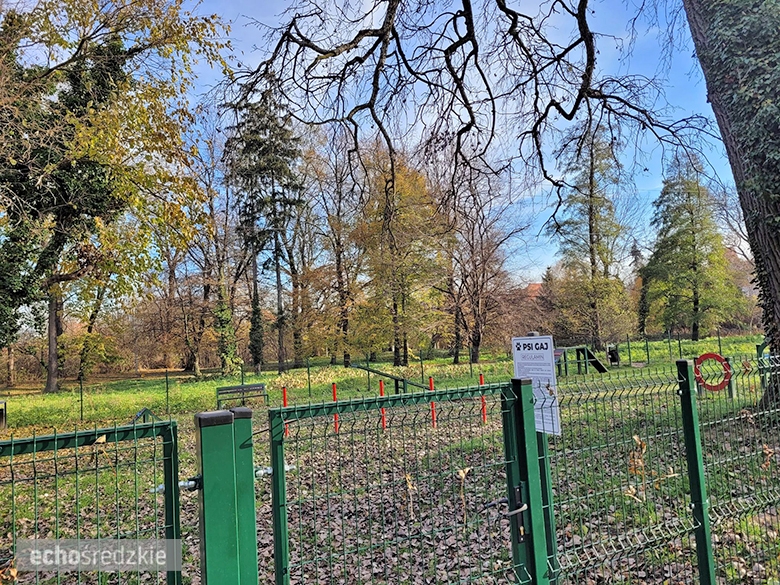 Psi Gaj w Środzie Śląskiej