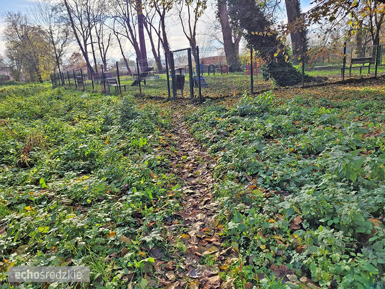 Psi Gaj w Środzie Śląskiej