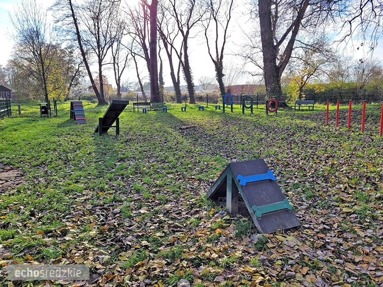 Psi Gaj w Środzie Śląskiej