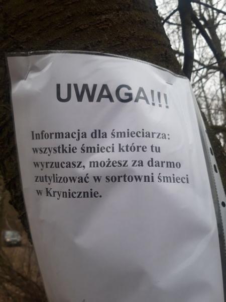 Wyrzucone śmieci w lesie w Chwalimierzu