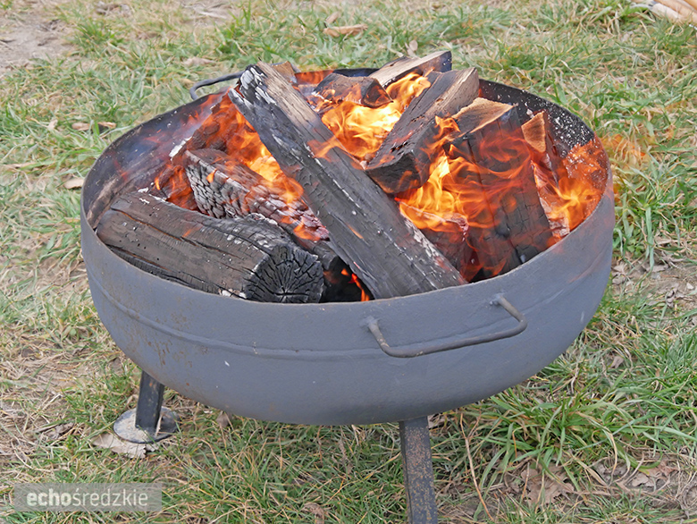 Dzień Kobiet z Morsami