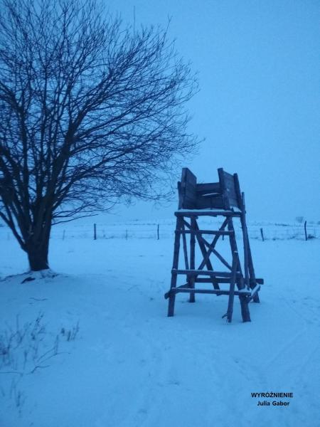 Konkurs fotograficzny "Zima w obiektywie"