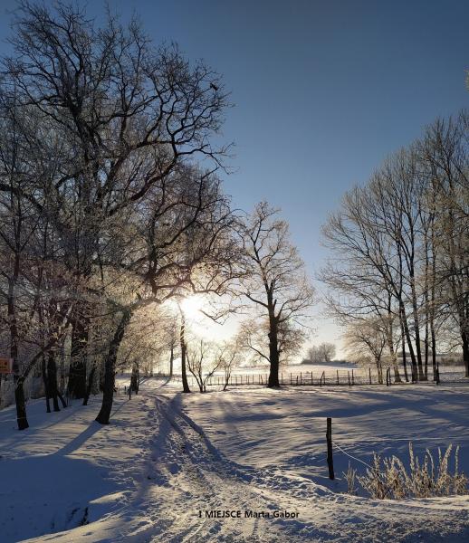 Konkurs fotograficzny "Zima w obiektywie"