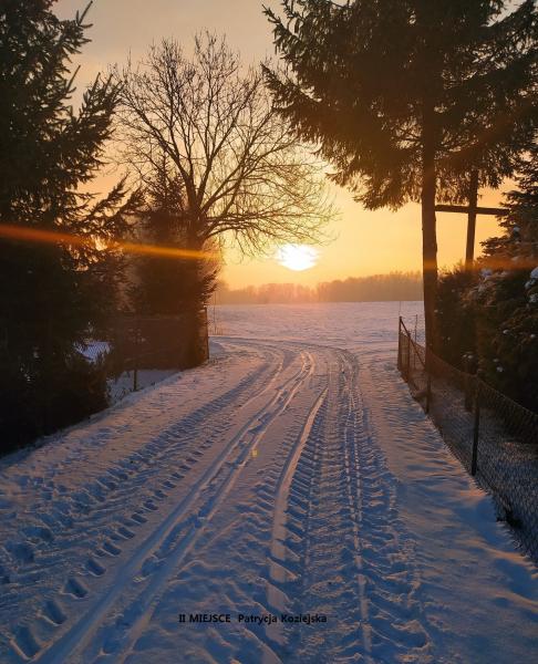 Konkurs fotograficzny "Zima w obiektywie"