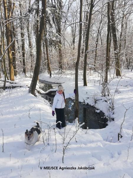 Konkurs fotograficzny "Zima w obiektywie"