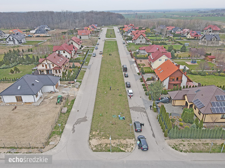 Akcja sadzenia tulipanowców przy ul. Tulipanowej w Środzie Śląskiej