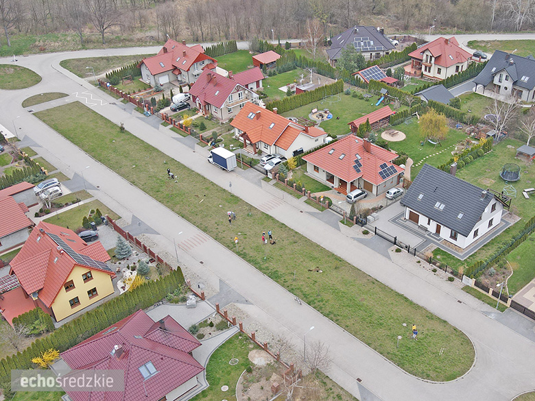 Akcja sadzenia tulipanowców przy ul. Tulipanowej w Środzie Śląskiej