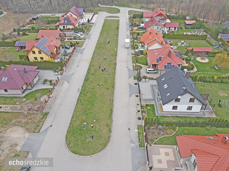 Akcja sadzenia tulipanowców przy ul. Tulipanowej w Środzie Śląskiej