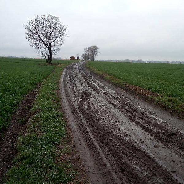 Spotkanie Grzegorza Macko i Wojciecha Płaziuka