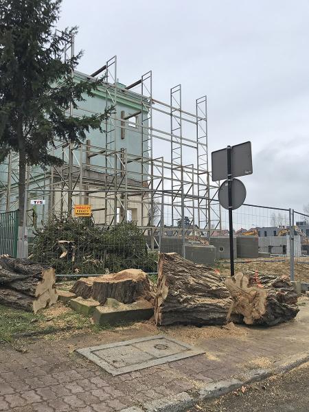 Wycinka drzew w okolicy inwestycji na terenach byłego zakładu Inco