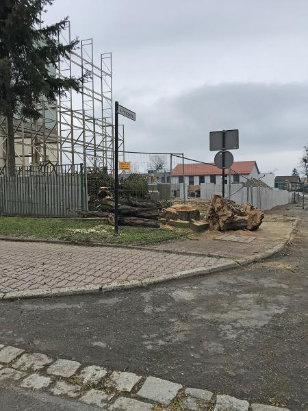 Wycinka drzew w okolicy inwestycji na terenach byłego zakładu Inco