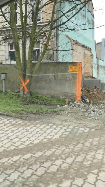 Wycinka drzew w okolicy inwestycji na terenach byłego zakładu Inco