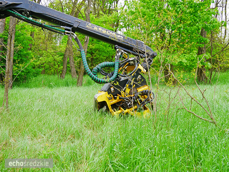 Pożar maszyny do wycinki drzew