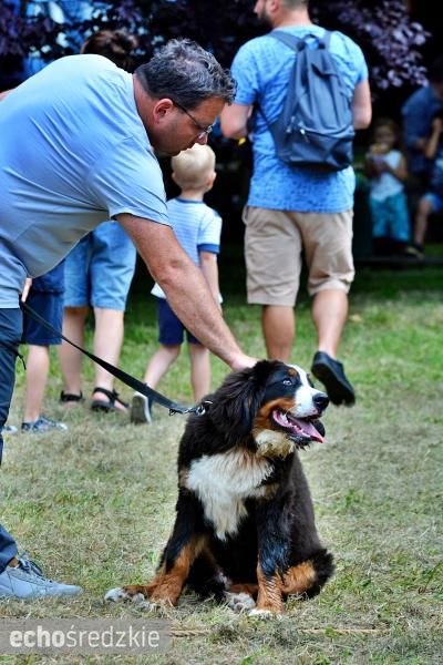 V Turniej Rycerski w Zamku na Wodzie w Wojnowicach