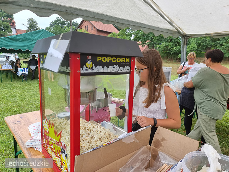 Piknik charytatywny dla Krzysia w Malczycach