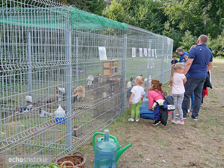 Dożynki w Ramułtowicach