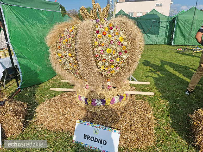 Dożynki gminne w Rakoszycach