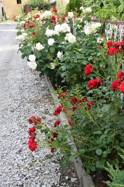 Mieczków w obiektywie - zwycięzca konkursu "Najpiękniejsza wieś w Gminie Kostomłoty"- miejsce I