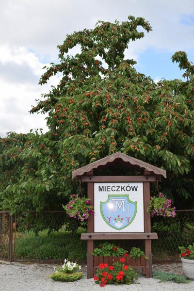 Mieczków w obiektywie - zwycięzca konkursu "Najpiękniejsza wieś w Gminie Kostomłoty"- miejsce I
