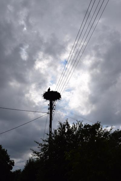 Wichrów w obiektywie - zwycięzca konkursu "Najpiękniejsza wieś w Gminie Kostomłoty"- miejsce I