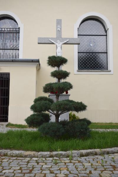 Wichrów w obiektywie - zwycięzca konkursu "Najpiękniejsza wieś w Gminie Kostomłoty"- miejsce I